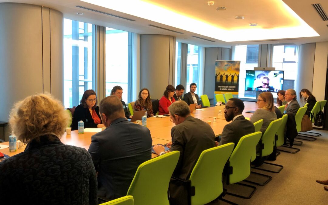 MEPs and stakeholders issue a strong call for an ambitious, cross-sectoral and inclusive mental health strategy