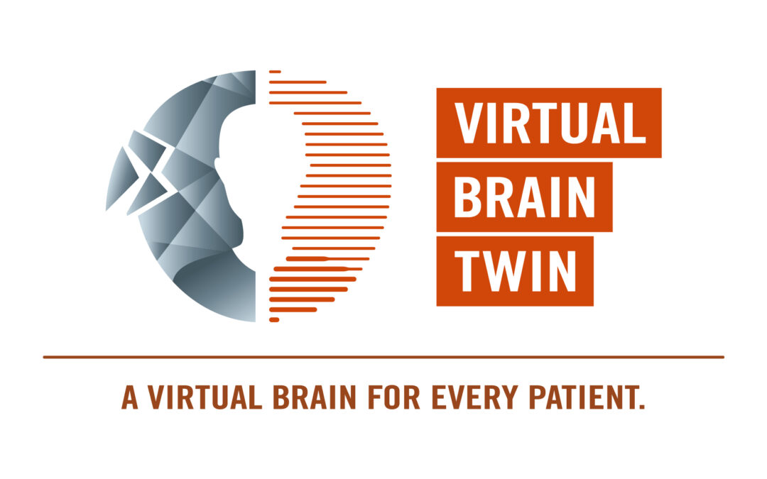 Virtual Brain Twin