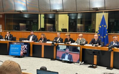 GAMIAN-Europe brings the voice of lived experience to European Parliament discussions on the future of psychiatry