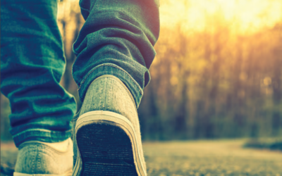 Press Release ‘Bridging the Gap: Optimising transition from child to adult mental healthcare’